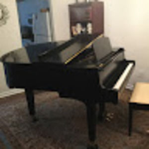 Meet your Posher, Dale